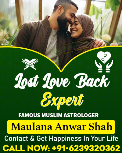 World Famous Astrologer Maulana Anwar Shah